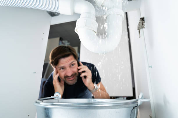 Best Emergency Plumber  in Brigham City, UT